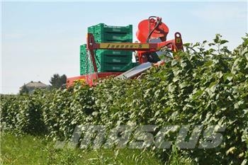 Weremczuk Berry harvester JOANNA-5 Olivenernte Maschinen