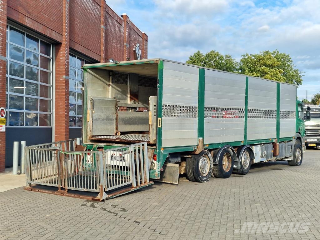 Scania P114-340 8x2*6 - Livestock 1 deck / Cattle - 3x st Dzīvnieku pārvadāšanas transports