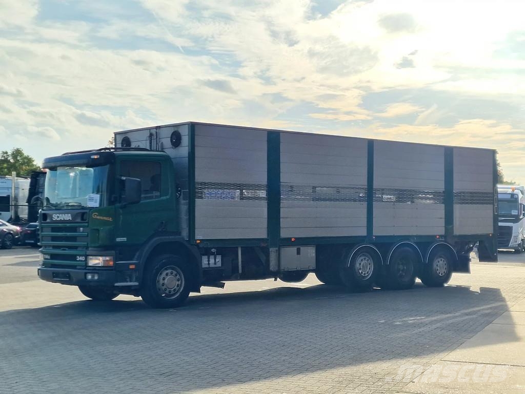 Scania P114-340 8x2*6 - Livestock 1 deck / Cattle - 3x st Dzīvnieku pārvadāšanas transports
