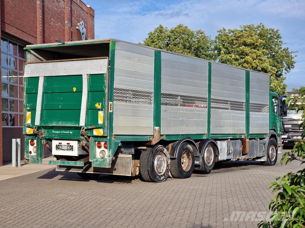 Scania P114-340 8x2*6 - Livestock 1 deck / Cattle - 3x st Dzīvnieku pārvadāšanas transports