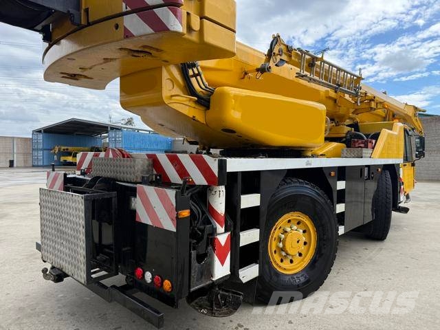 Terex AC 40-2L Maastikutõstukid