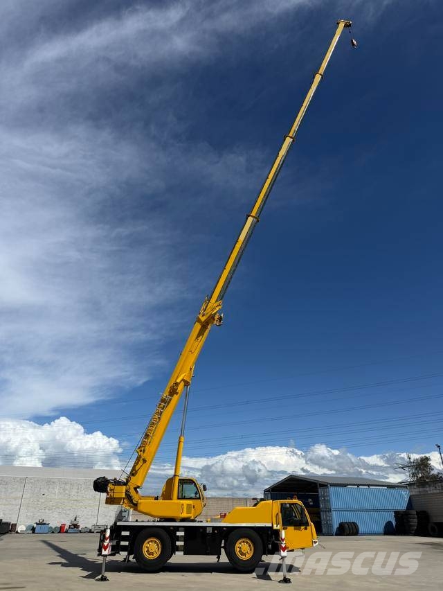 Terex AC 40-2L Maastikutõstukid
