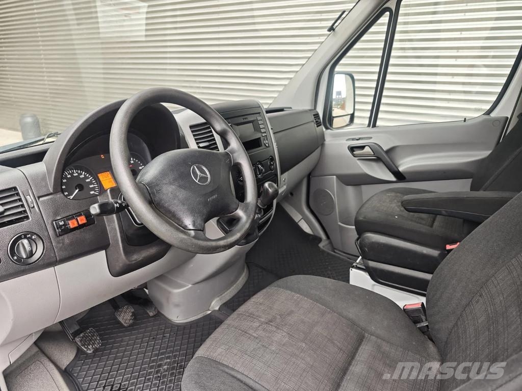 Mercedes-Benz Sprinter 314 CDI Ruthmann TB 270.3 Plataformas sobre camión