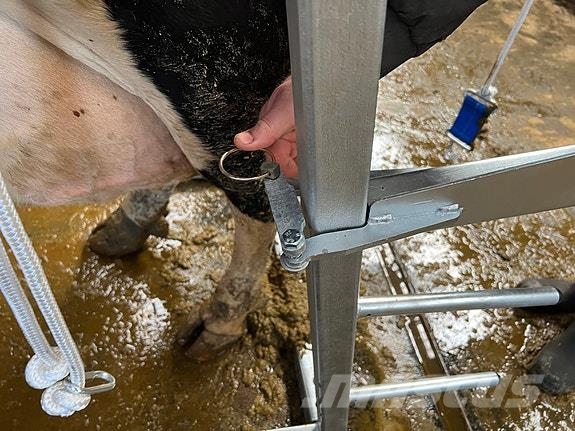 Klauvpleieboks Ostali stroji in oprema za živino