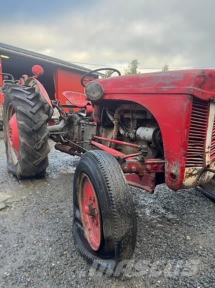 Massey Ferguson Tea-20 Gråtass Traktorer