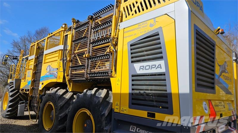Ropa Tiger 6s XL 6s XL 9 rækket Beet harvesters