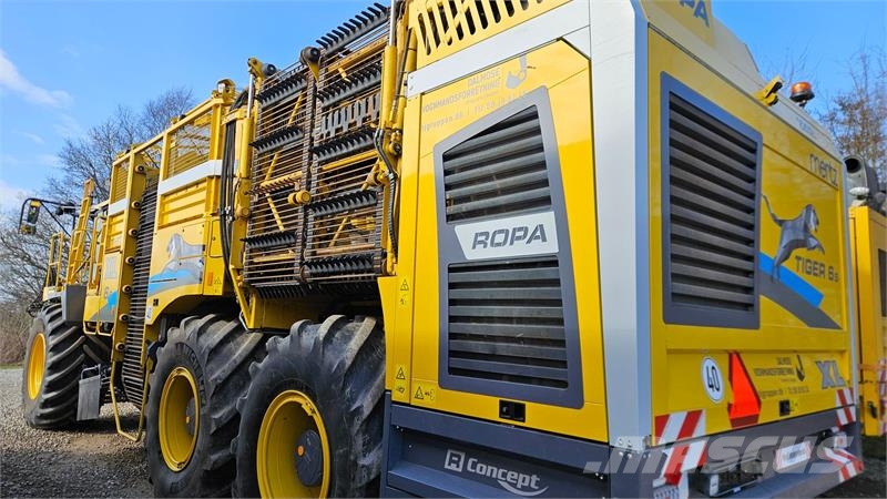 Ropa Tiger 6s XL 6s XL 9 rækket Beet harvesters