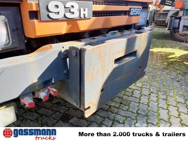 Scania 93H 250 4x4, Winterdienstausstattung, Kran 덤프 트럭