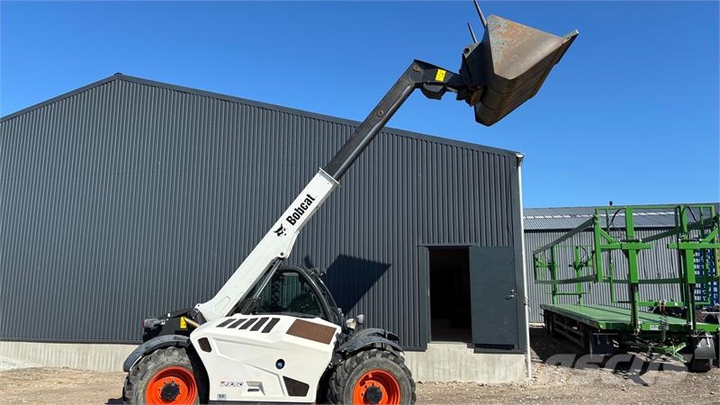 Bobcat TL30.60HB Teleskoplæsser Teleskoplastere