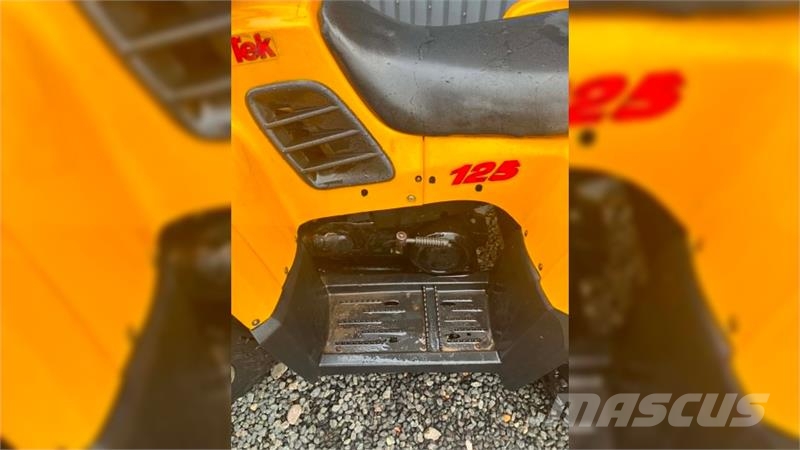 MotorTek 125 ATV