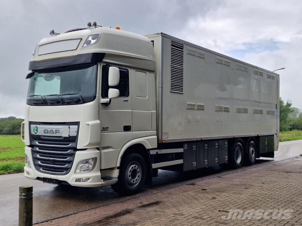 DAF XF 440 FAN 6x2*4 (2-etagers dyretransport, 40 m², Ostali kamioni