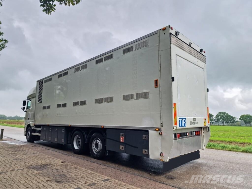 DAF XF 440 FAN 6x2*4 (2-etagers dyretransport, 40 m², Ostali kamioni