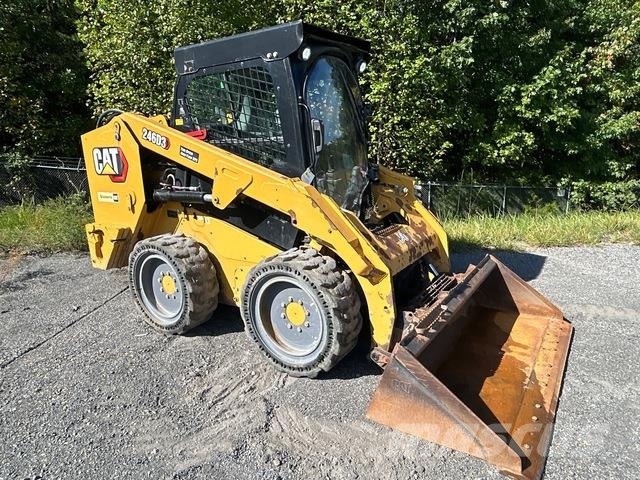 CAT 246D3 Mini Pale Gommate