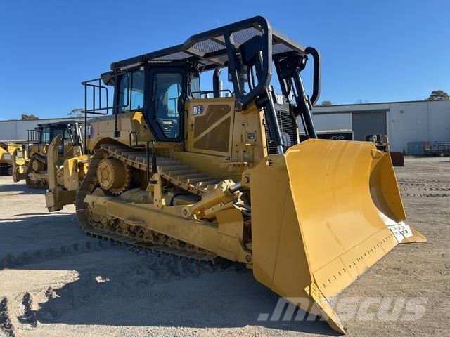 CAT D8 Buldozer sobre oruga