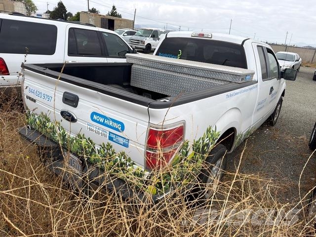 Ford F-150 Pick up/Fiancata ribaltabile