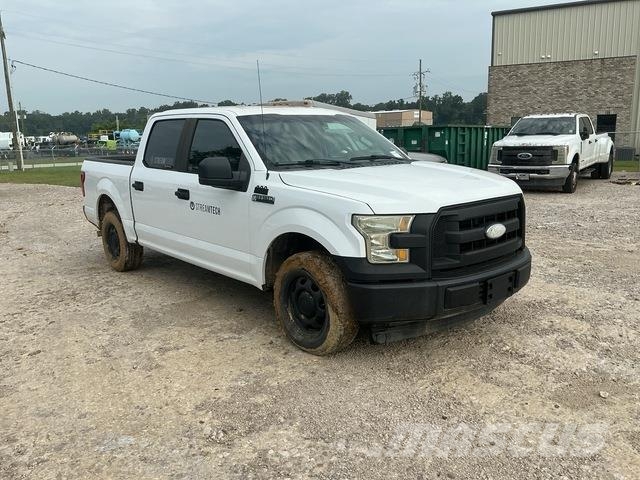 Ford F-150 Pick up/Fiancata ribaltabile