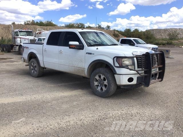 Ford F-150 Bestelwagens met open laadbak