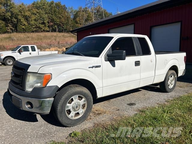 Ford F-150 Bestelwagens met open laadbak