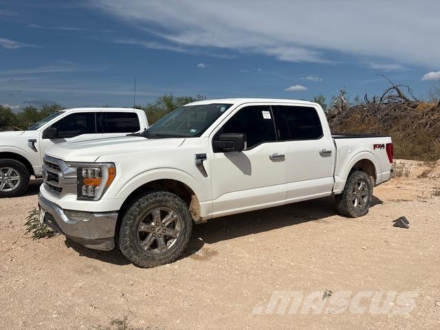 Ford F-150 Vieglais kravas automobilis/izkraušana no sāniem