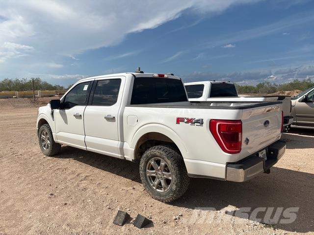 Ford F-150 Vieglais kravas automobilis/izkraušana no sāniem