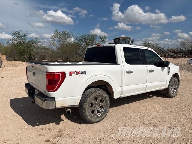 Ford F-150 Vieglais kravas automobilis/izkraušana no sāniem
