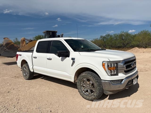 Ford F-150 Vieglais kravas automobilis/izkraušana no sāniem
