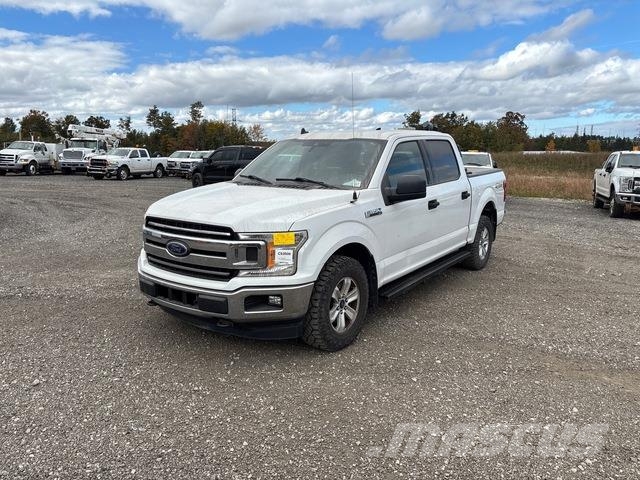 Ford F-150 Pick up/Fiancata ribaltabile