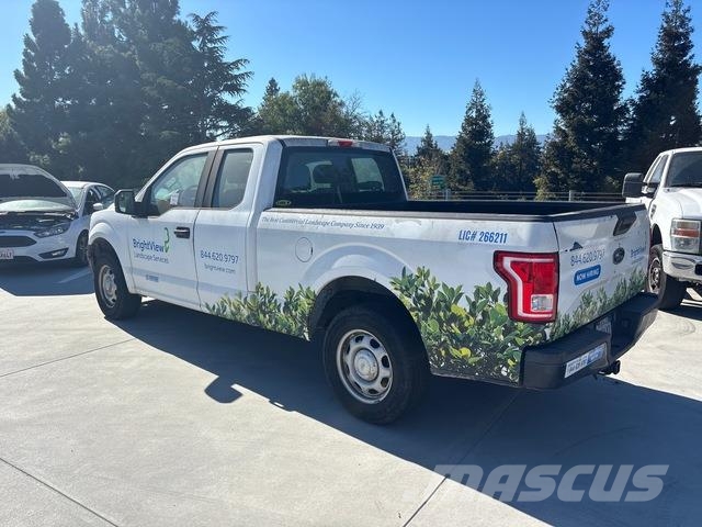 Ford F-150 Bestelwagens met open laadbak