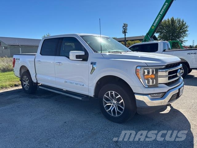 Ford F-150 Pik up kamioni