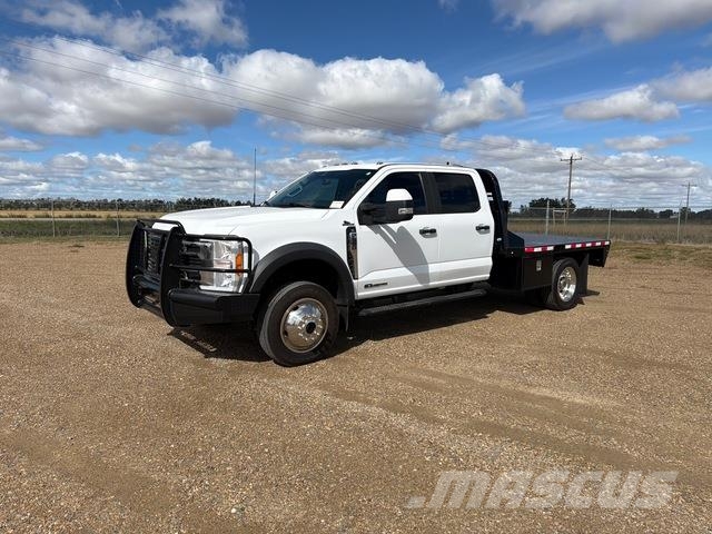 Ford F-550 Camiones plataforma