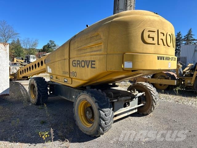 Grove T80 Piattaforme a braccio telescopico
