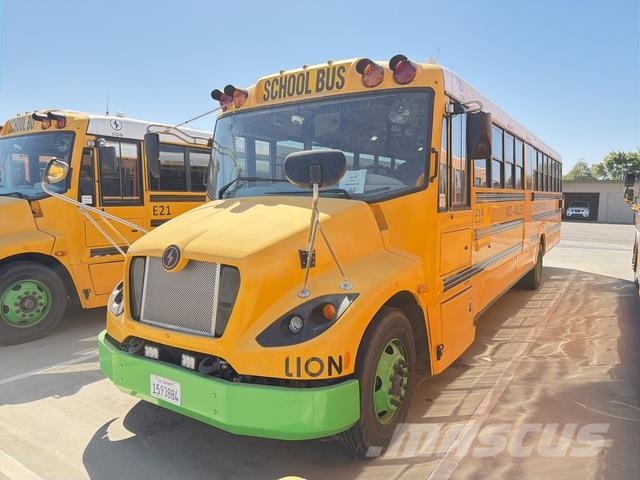 Lion Mini bus
