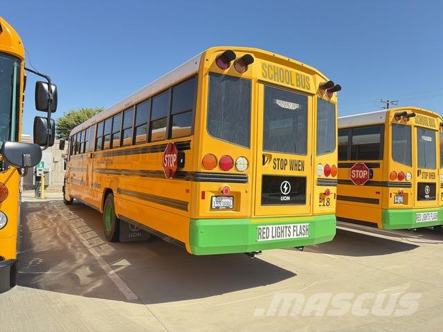 Lion Mini bus