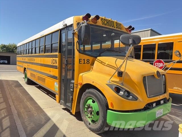 Lion Mini bus