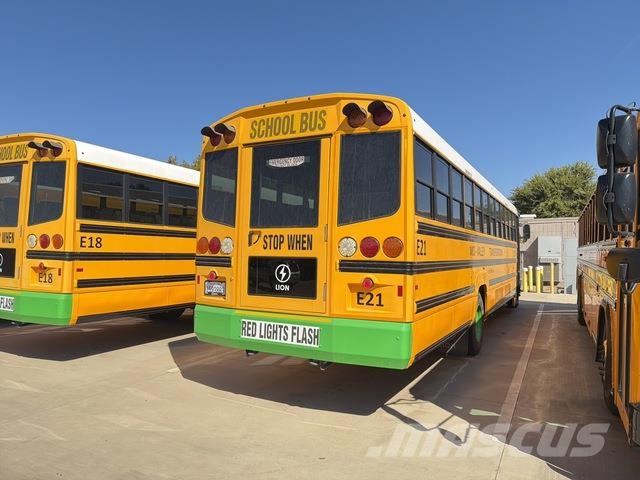 Lion Mini bus