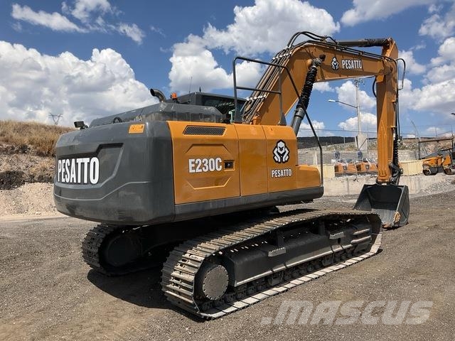  Pesatto E230C Excavadoras sobre orugas