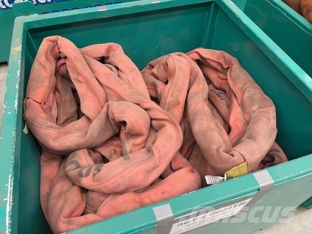  Quantity of (2) 30t x 20 m Soft Round Sling Other