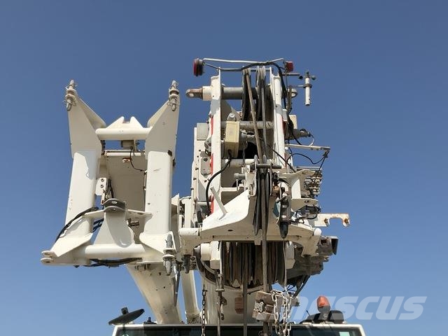 Terex AC60/3 Yol-Arazi Tipi Vinçler (AT)