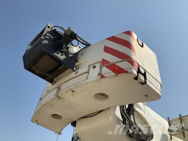 Terex AC60/3 Yol-Arazi Tipi Vinçler (AT)