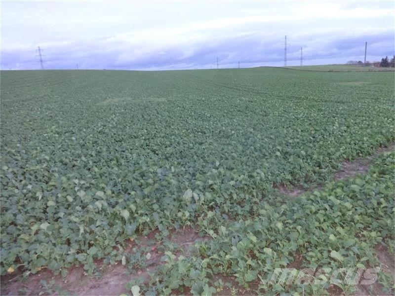 Amazone Cenius 5003-2TX Grades