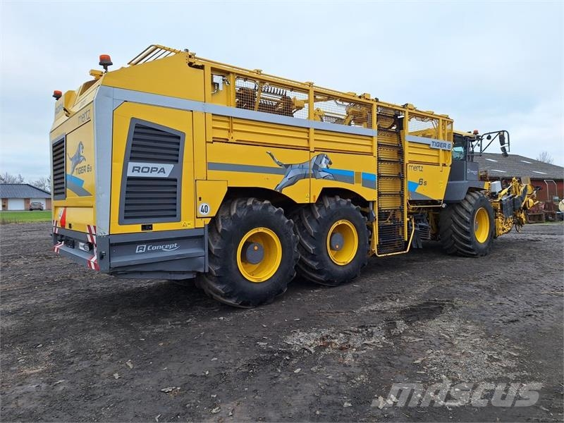 Ropa TIGER 6S Řepné kombajny
