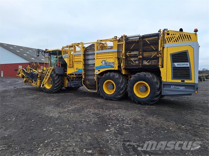 Ropa TIGER 6S Řepné kombajny