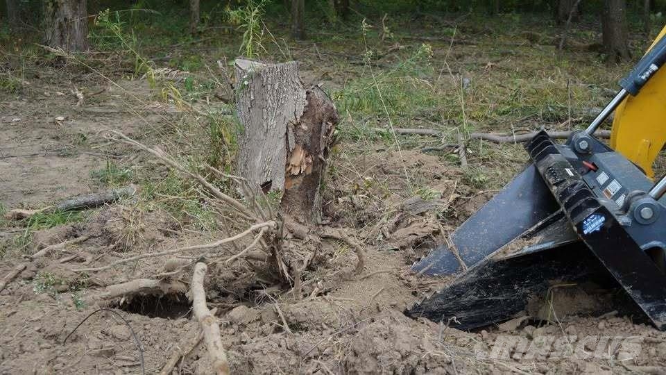 Blue Diamond Severe Duty Stump Bucket 102015 Gradbeništvo - drugo