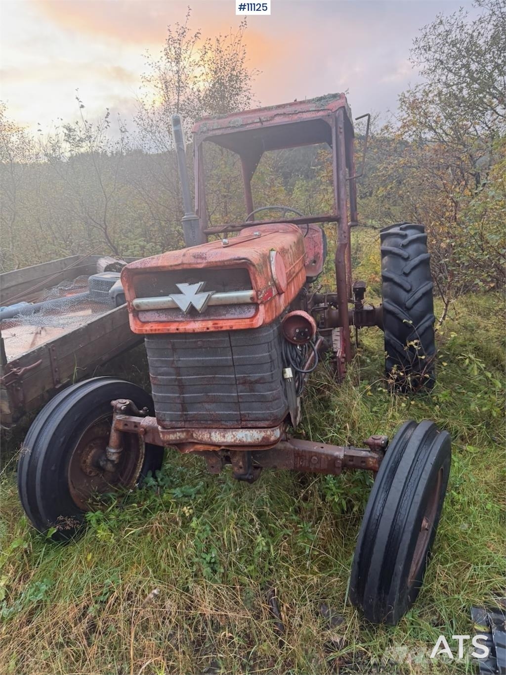 Massey Ferguson 165 트랙터
