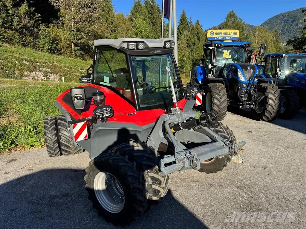 Aebi TT 212 Falciatrici