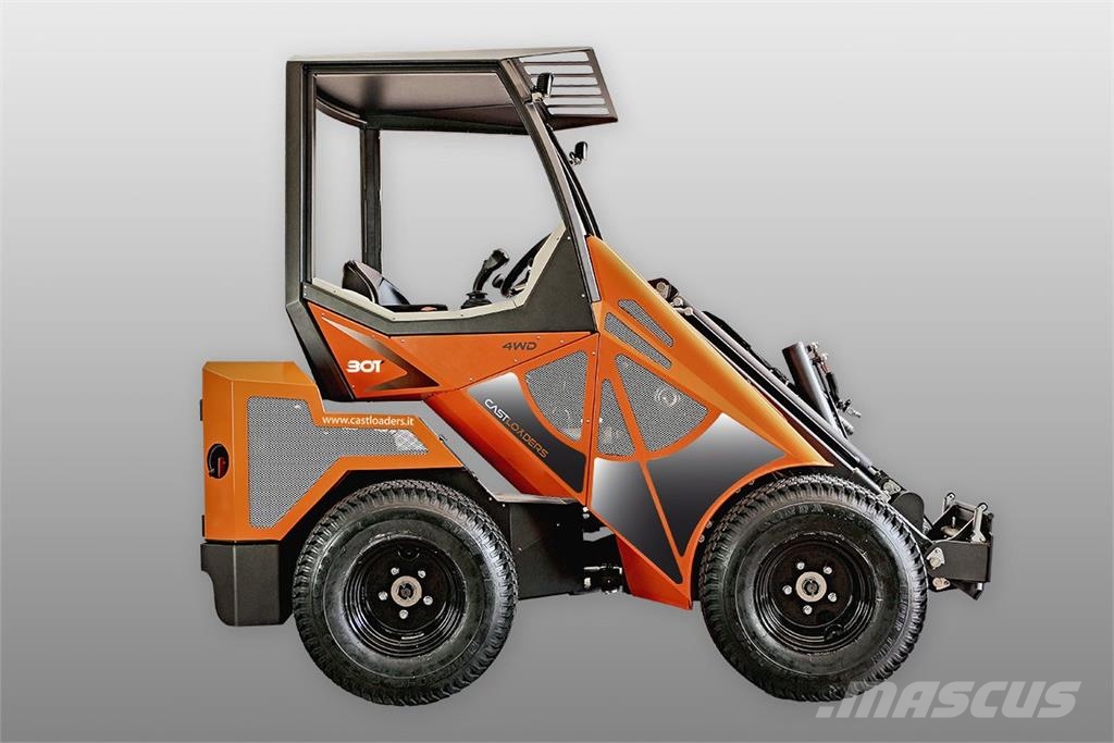 Cast P30 T NEU AKTION mit Österreichpaket Hoflader