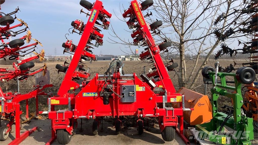 Einböck chopstar 12R 50cm + 45cm Otra máquina para siembra