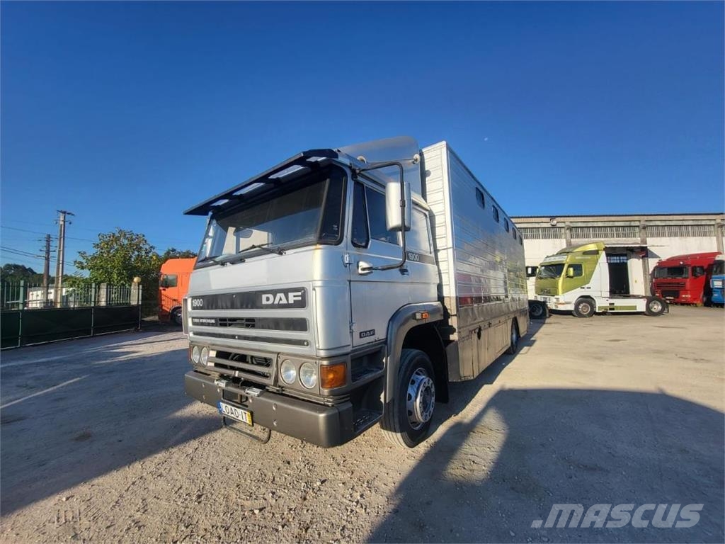 DAF 1900 Turbo Intercooling Ostalo
