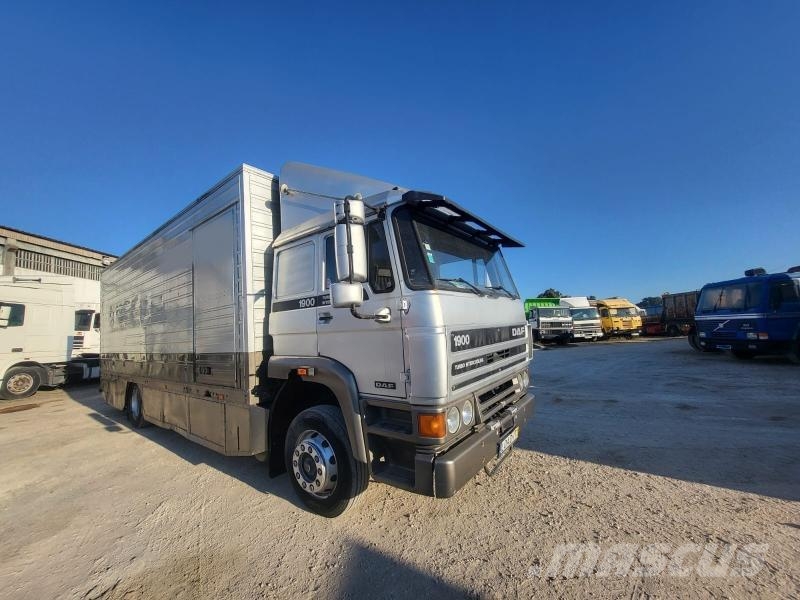 DAF 1900 Turbo Intercooling Muu