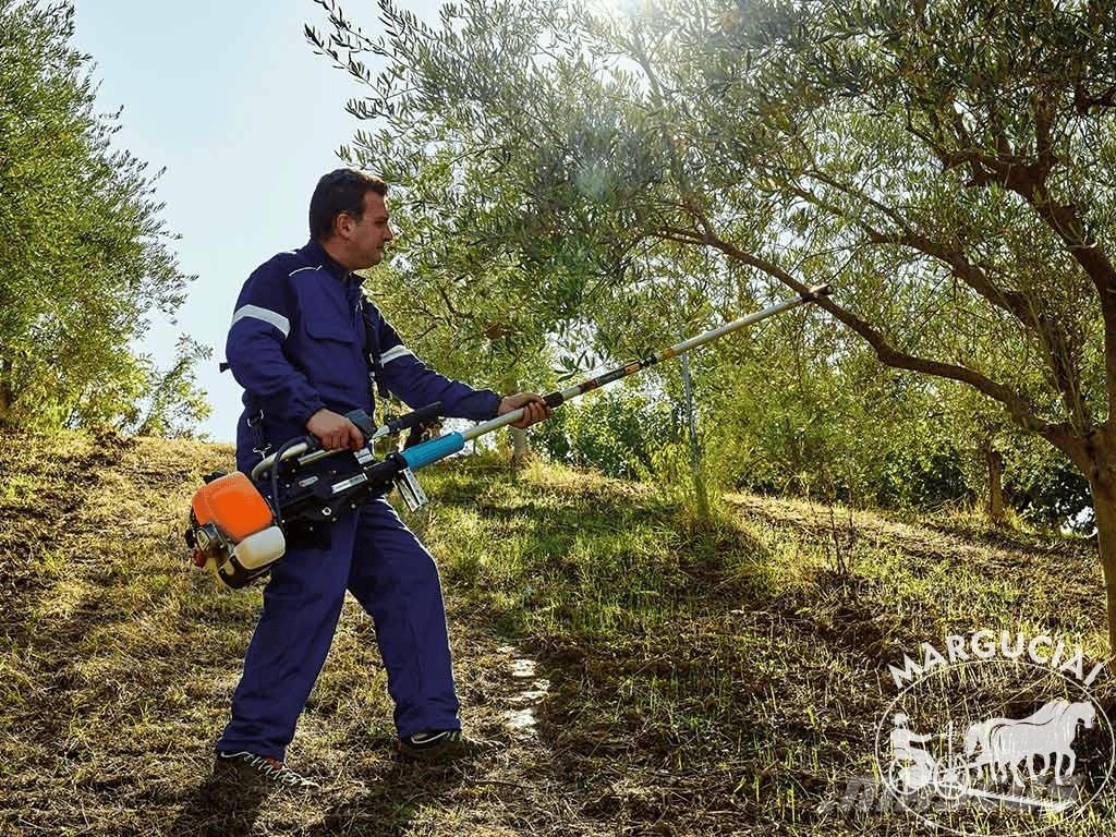 Campagnola Įrankiai genėjimui ir derliaus nuėmimui Muut maatalouskoneet